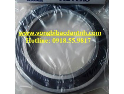 VÒNG BI 6040